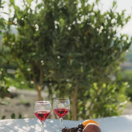 Prázdninový dům Vineyard Cycladic House